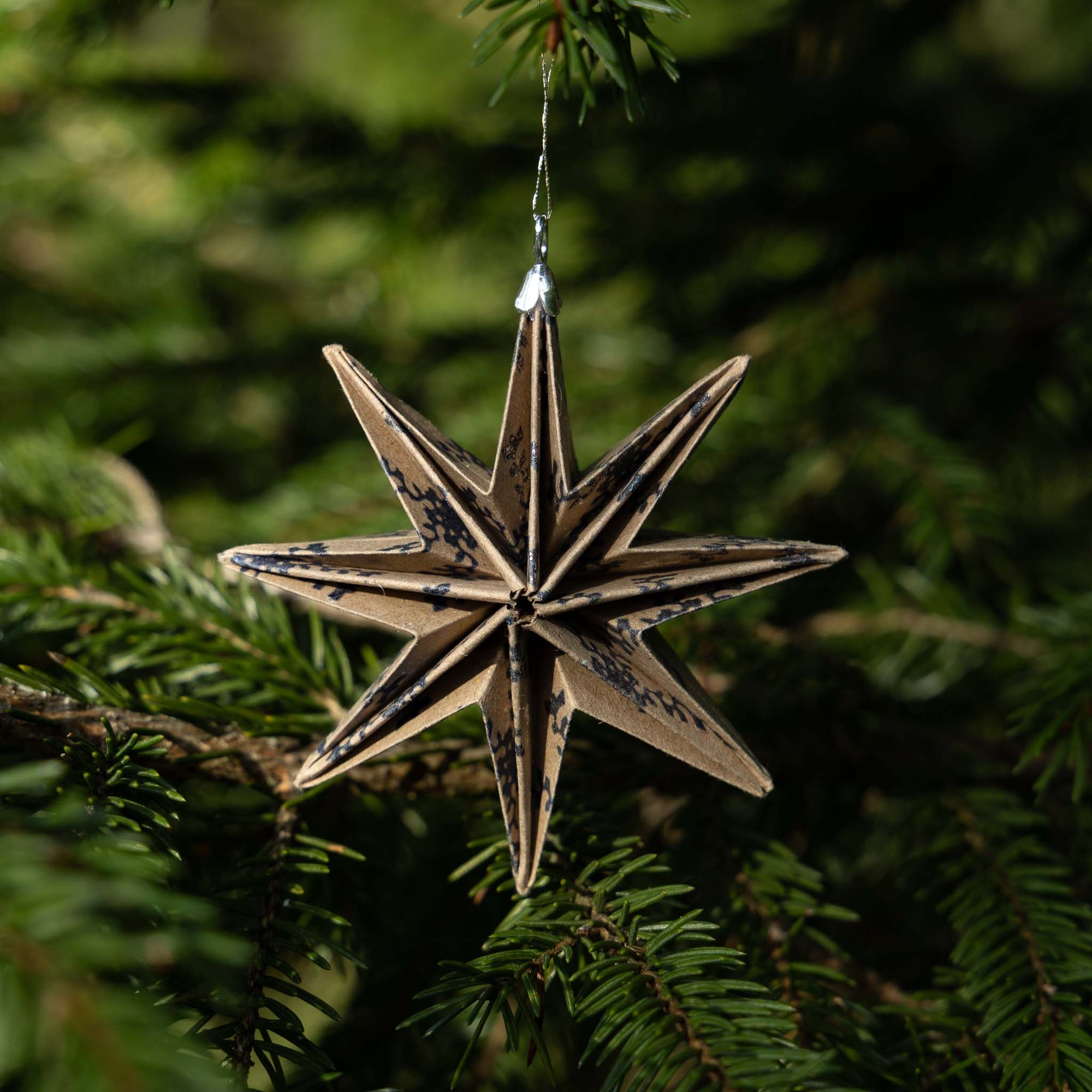 8-point STAR small (PRE-ORDER)
