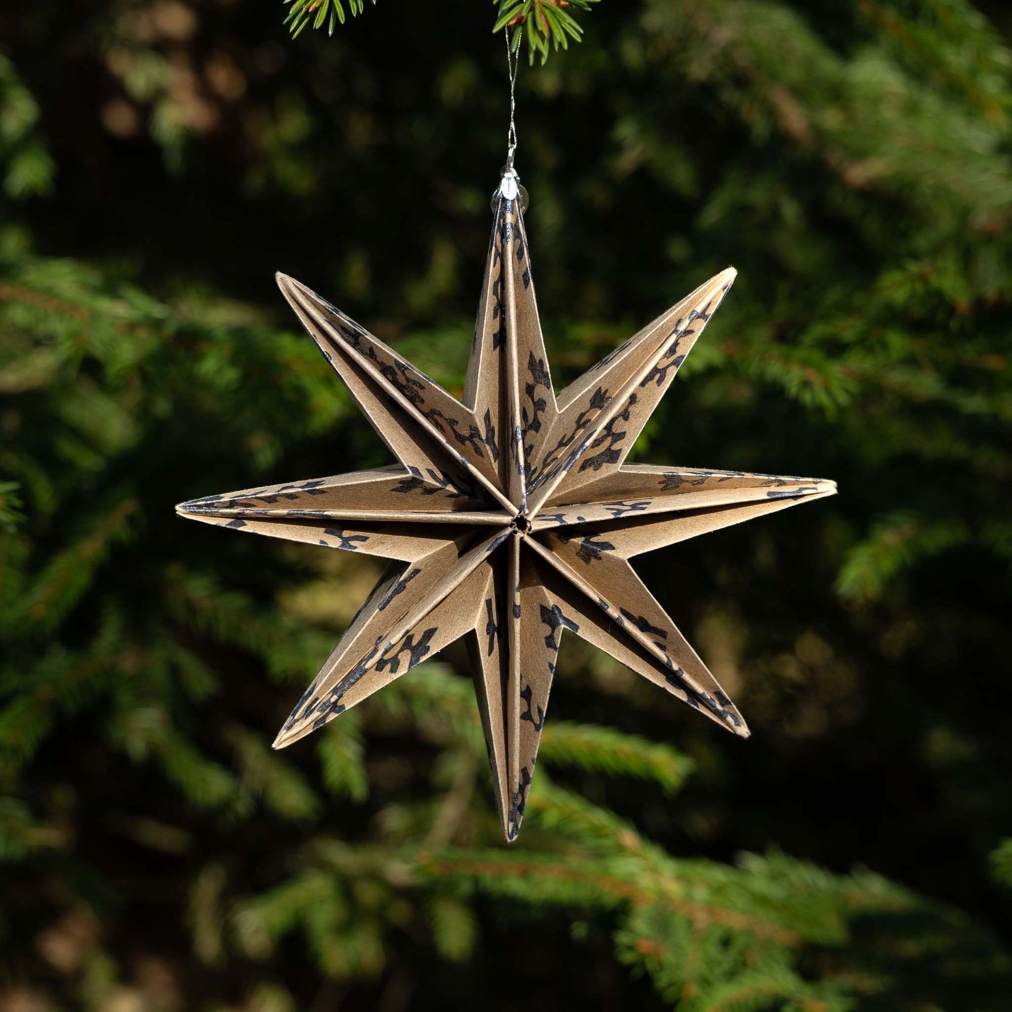 8-point STAR BIG (PRE-ORDER)