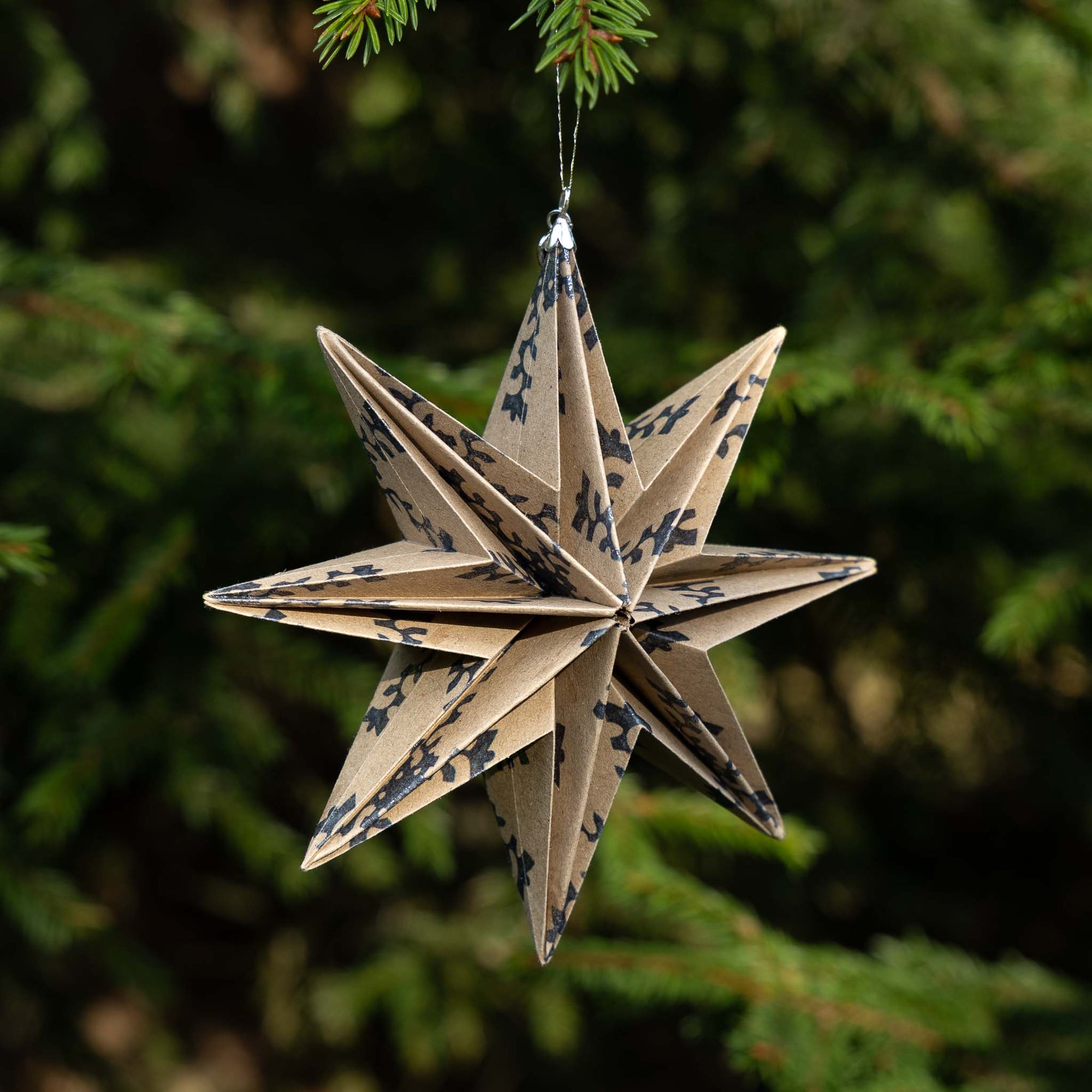 8-point STAR BIG (PRE-ORDER)