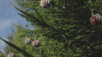 Christmass BALL Special (PRE-ORDER) - Blue